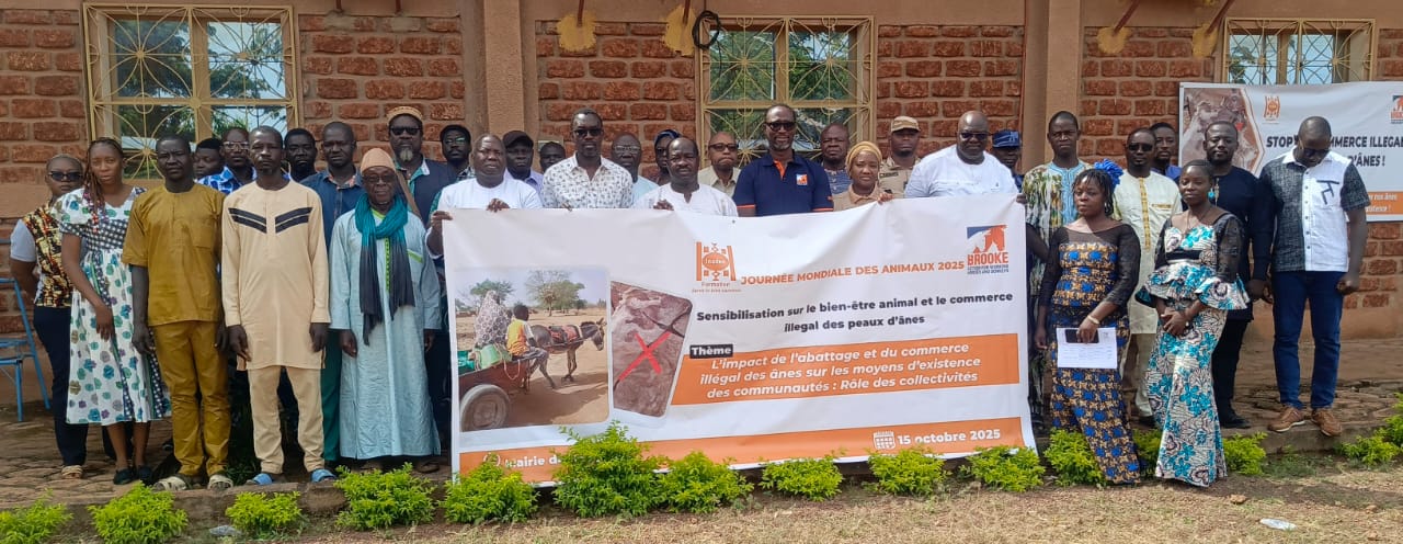 Trafic illégal des peaux d’ânes au Burkina Faso : Inades-Formation alerte et mobilise les autorités régionales de la Boucle du Mouhoun